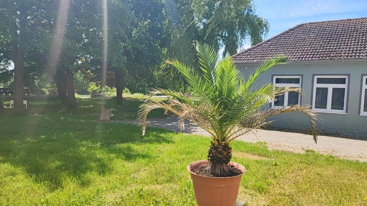 Pension Hopela Gotha Exteriör bild